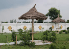 Garden at Devyani Resort